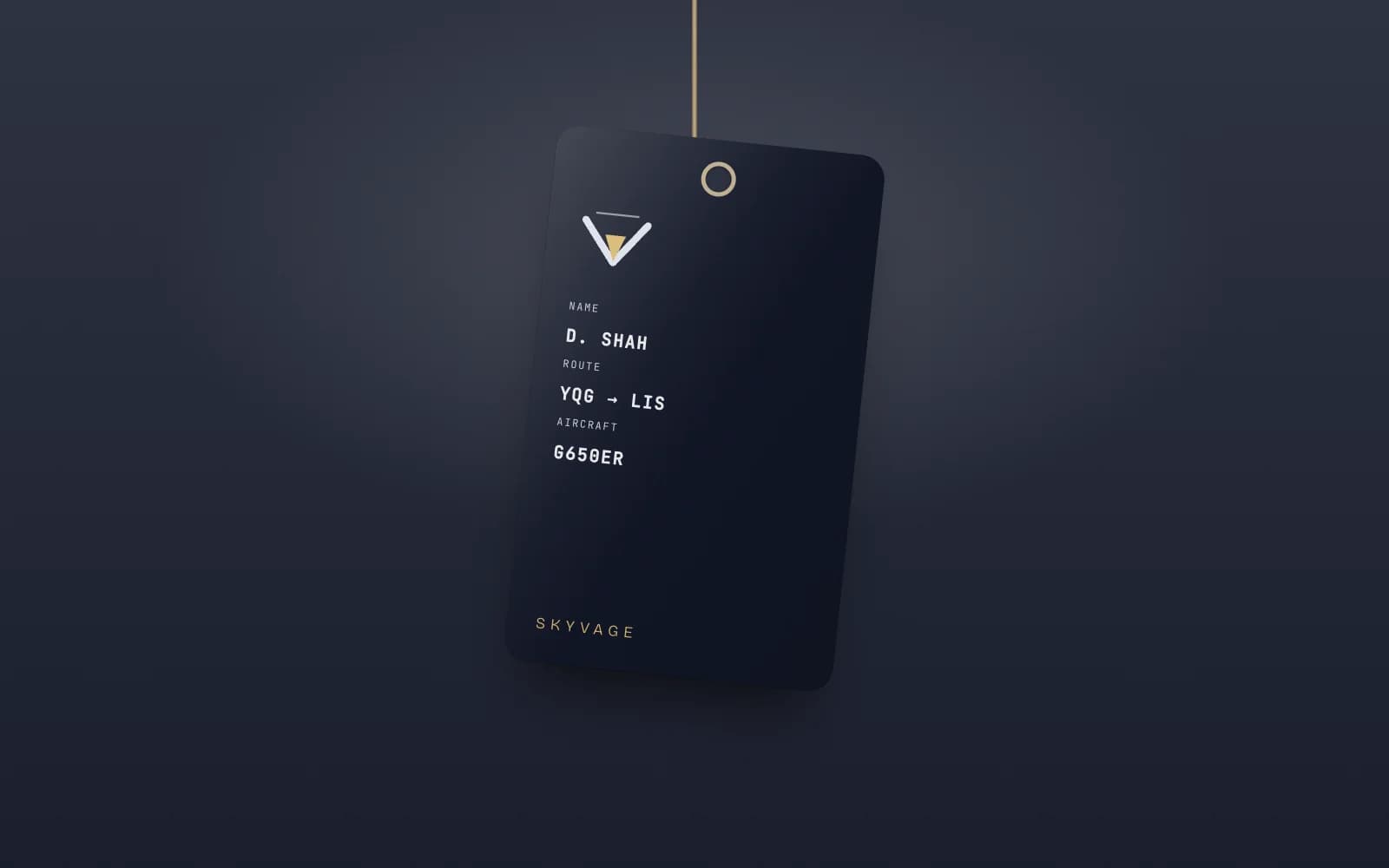 Skyvage: Cabin luggage tag